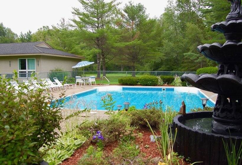 فندق T Bird Motor Inn