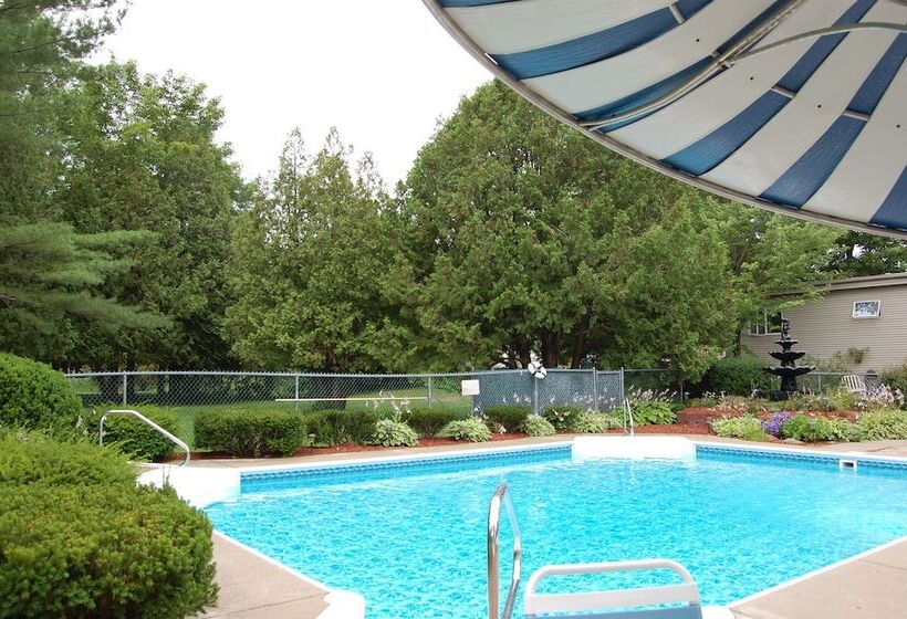 فندق T Bird Motor Inn