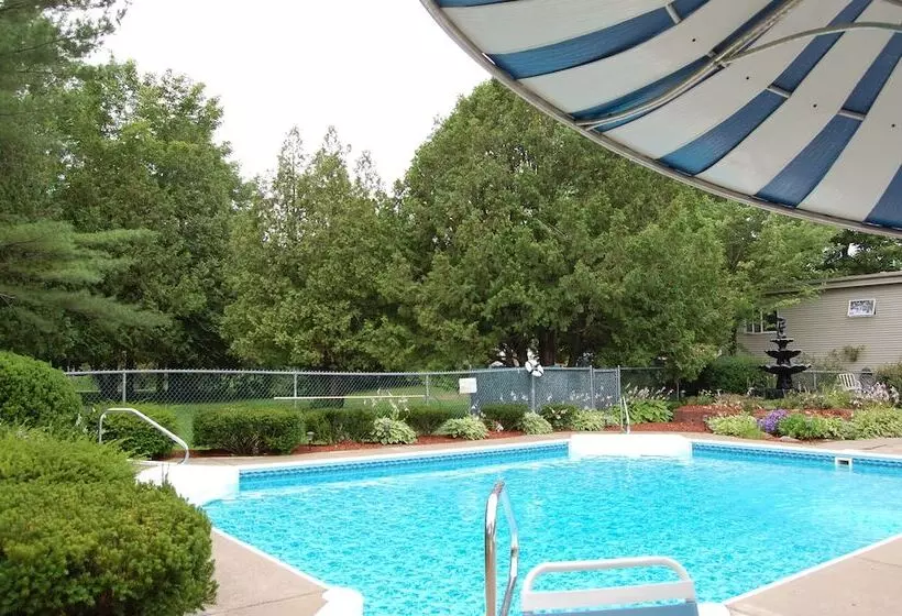 هتل T Bird Motor Inn