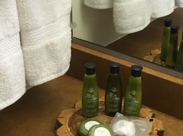 فندق T Bird Motor Inn