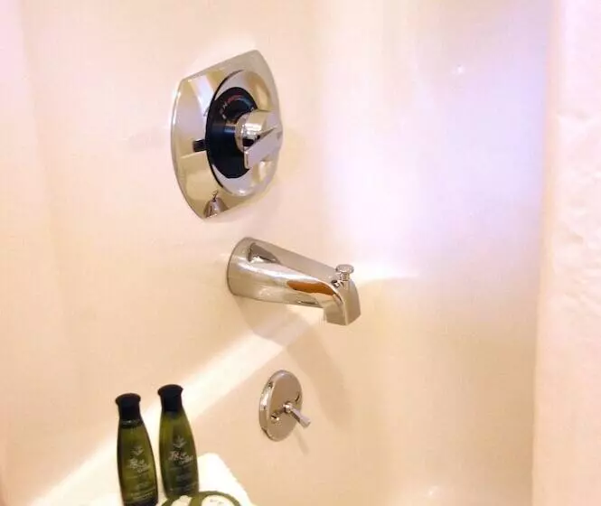 هتل T Bird Motor Inn