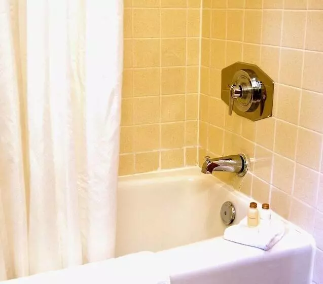 هتل T Bird Motor Inn