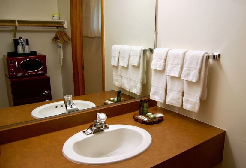 فندق T Bird Motor Inn