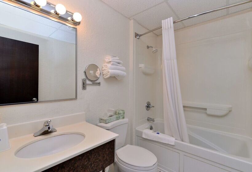 فندق على الطريق Americas Best Value Inn New Paltz