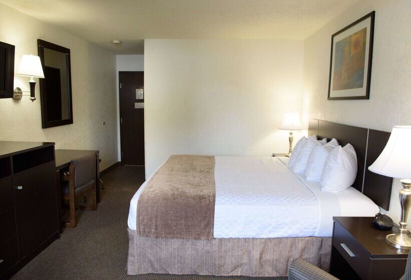 فندق على الطريق Americas Best Value Inn New Paltz