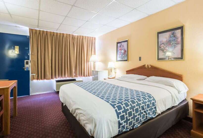 汽车旅馆 Rodeway Inn Sardis