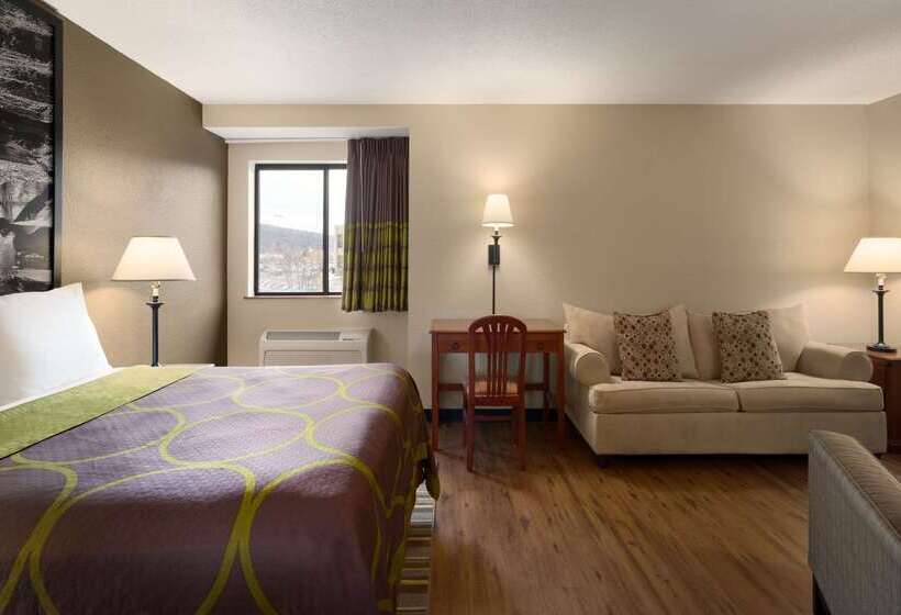 Motel Super 8 By Wyndham Ithaca