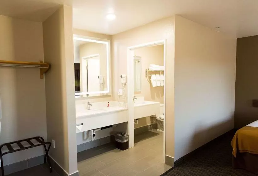 汽车旅馆  Super 8 By Wyndham Wickenburg Az