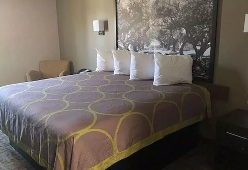 汽车旅馆  Surestay Hotel By Best Western Alexandria