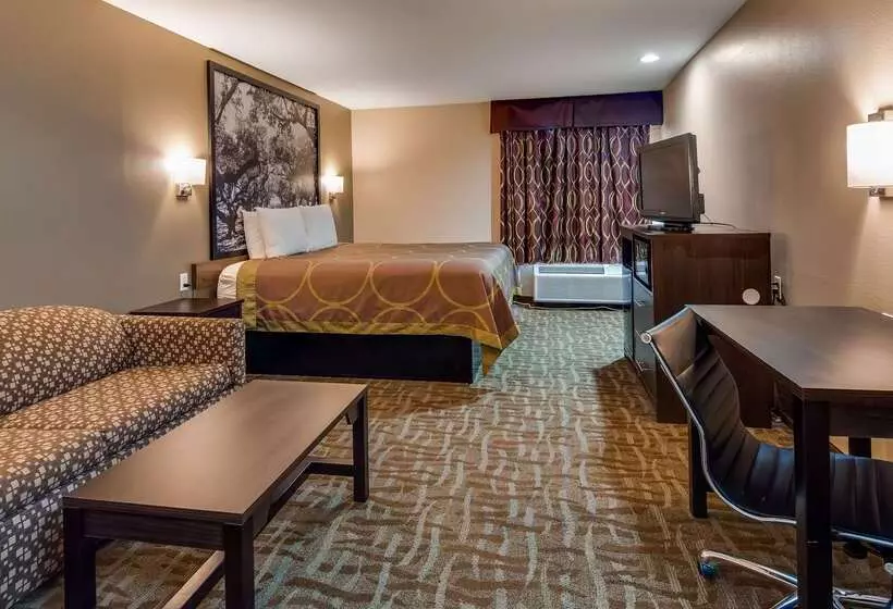 汽车旅馆  Surestay Hotel By Best Western Alexandria