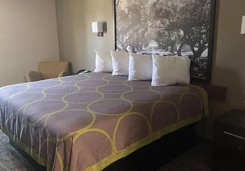 汽车旅馆  Surestay Hotel By Best Western Alexandria