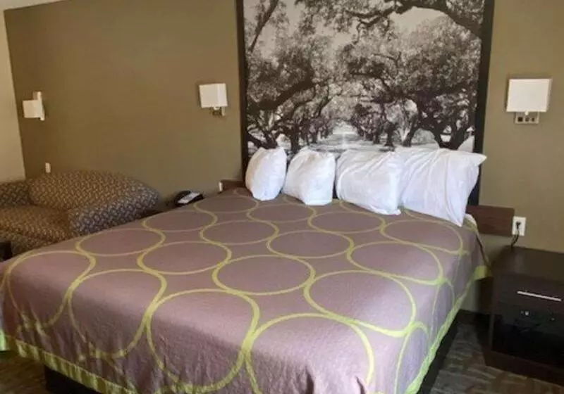 汽车旅馆  Surestay Hotel By Best Western Alexandria