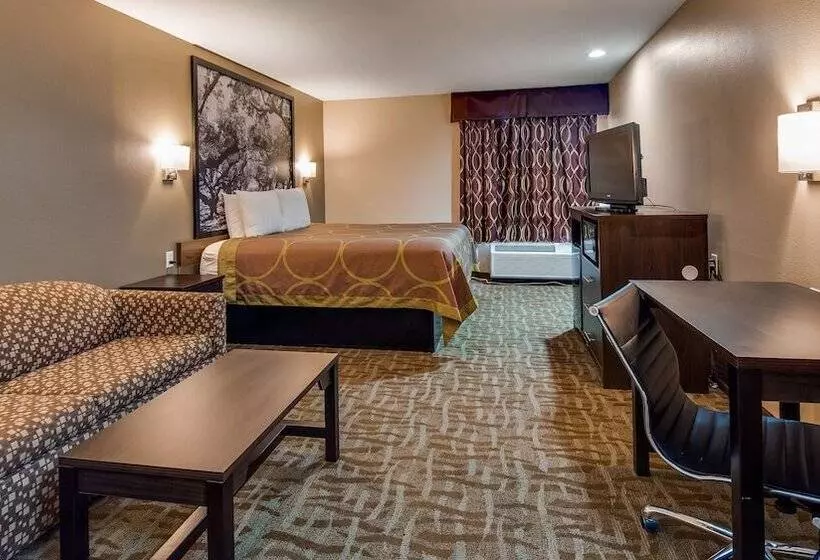 汽车旅馆  Surestay Hotel By Best Western Alexandria