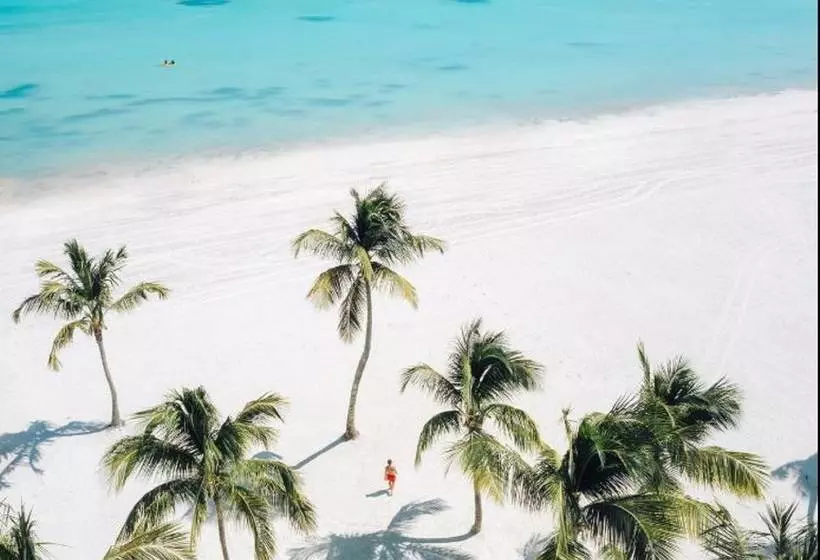 リゾートホテル Hyatt Ziva Cap Cana