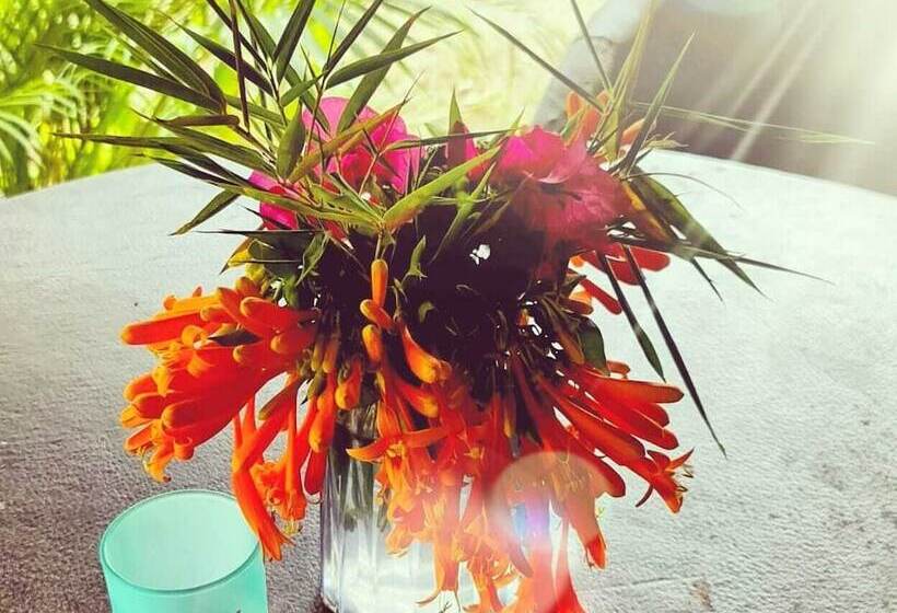 Szálloda Cabañas Mannan