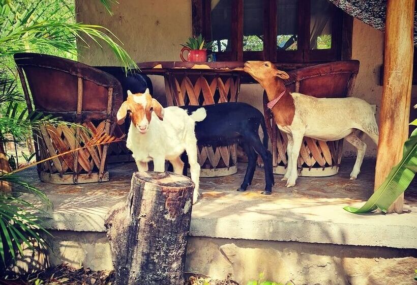 Szálloda Cabañas Mannan