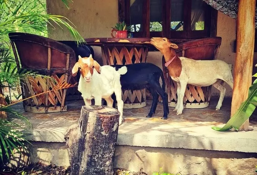 Hotelli Cabañas Mannan