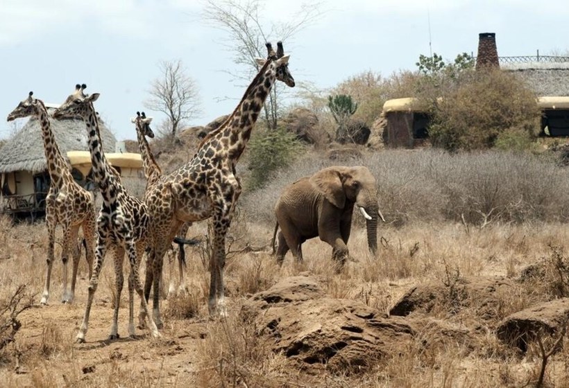 Hotelli Satao Elerai Camp