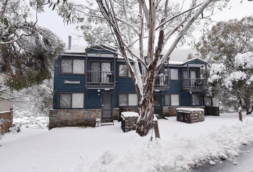 Three Bears 2 Thredbo