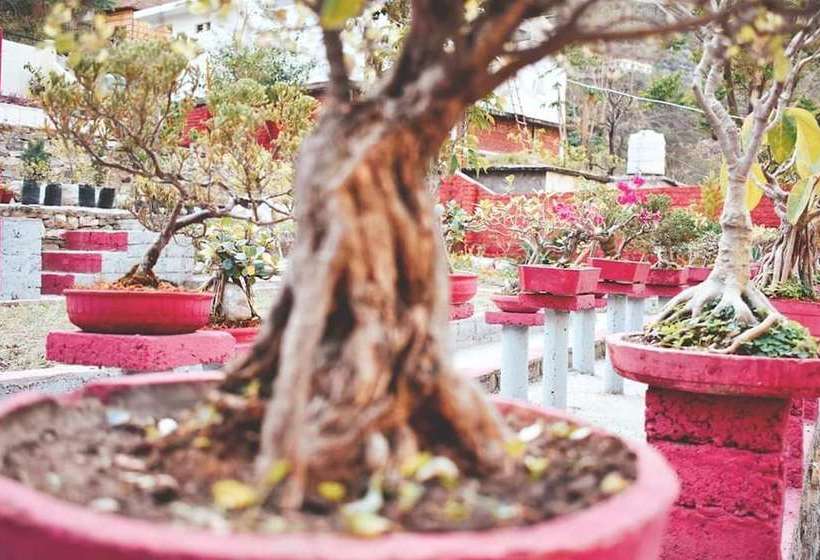 Hotell Hanumanti River View Resort