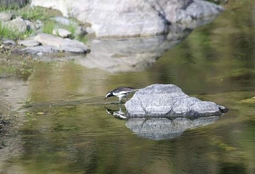 Hotell Hanumanti River View Resort