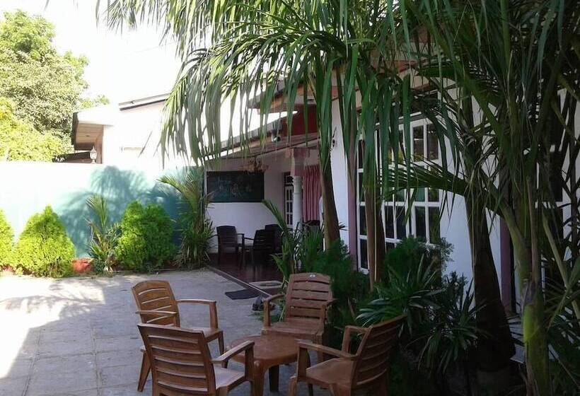 膳宿费 Dilshan Guest