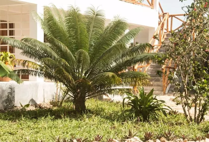 تختخواب و صبحانه Villa Kiota