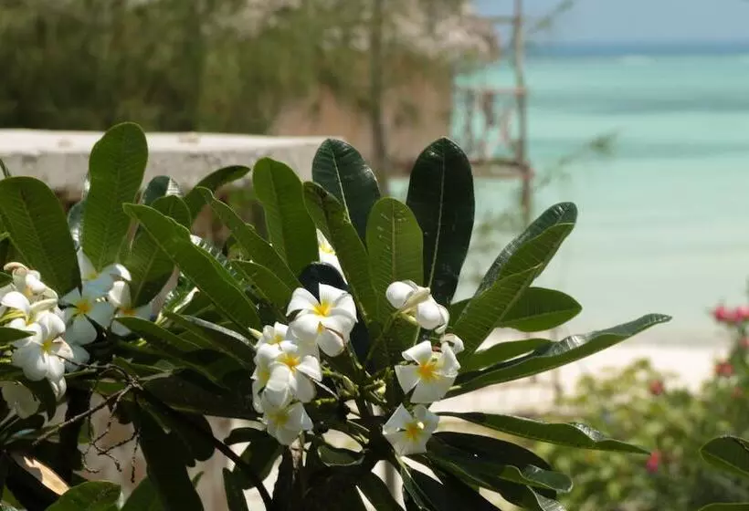 تختخواب و صبحانه Villa Kiota