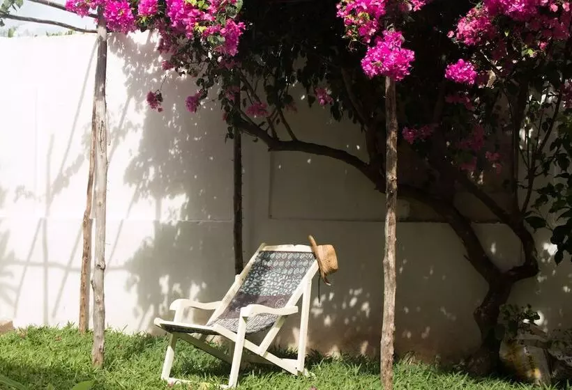 تختخواب و صبحانه Villa Kiota
