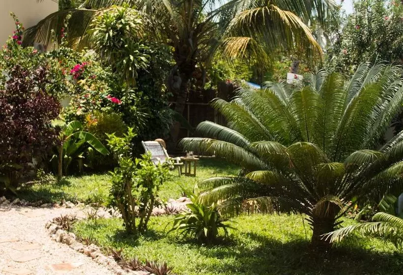 تختخواب و صبحانه Villa Kiota