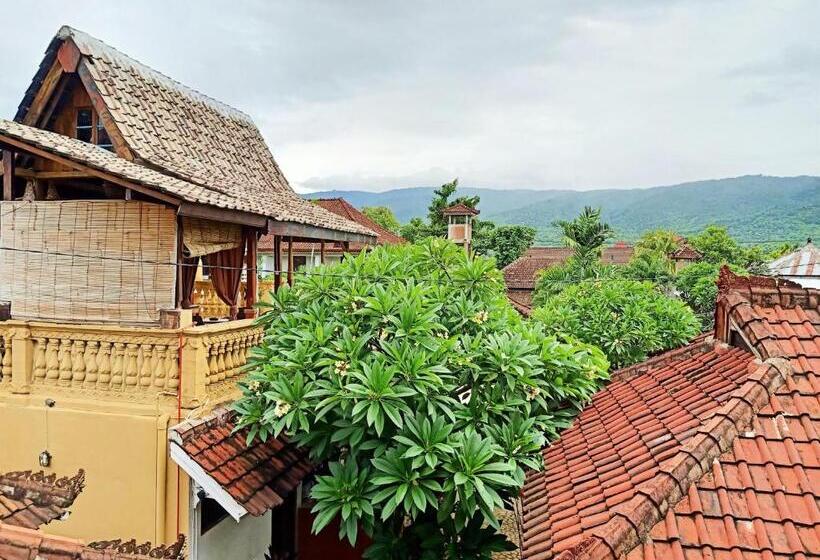 Отель Binaria Museum