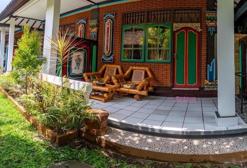 Отель Binaria Museum