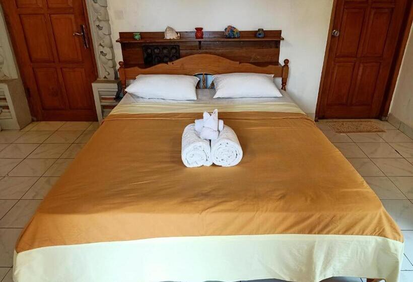 Отель Binaria Museum