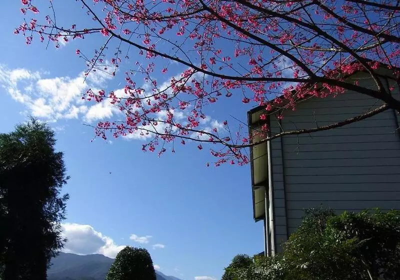 هتل Yingshih Resort