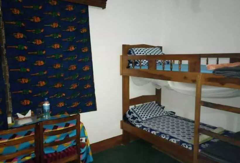 Kilimanjaro Green Homes & Camps  Hostel