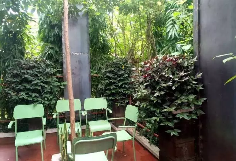 Kilimanjaro Green Homes & Camps  Hostel