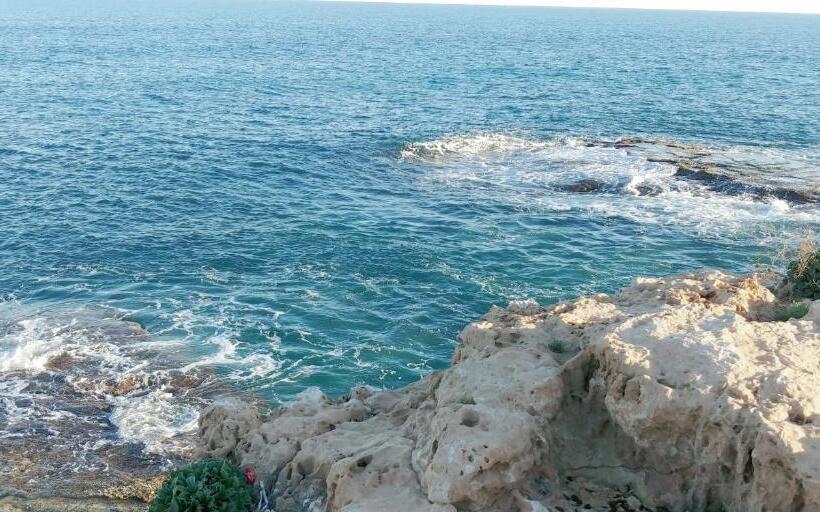 Estudio Jardín Del Mar