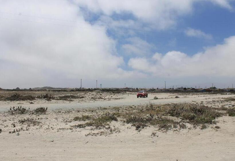 ペンション Cabaña Albergo Punta De Choros