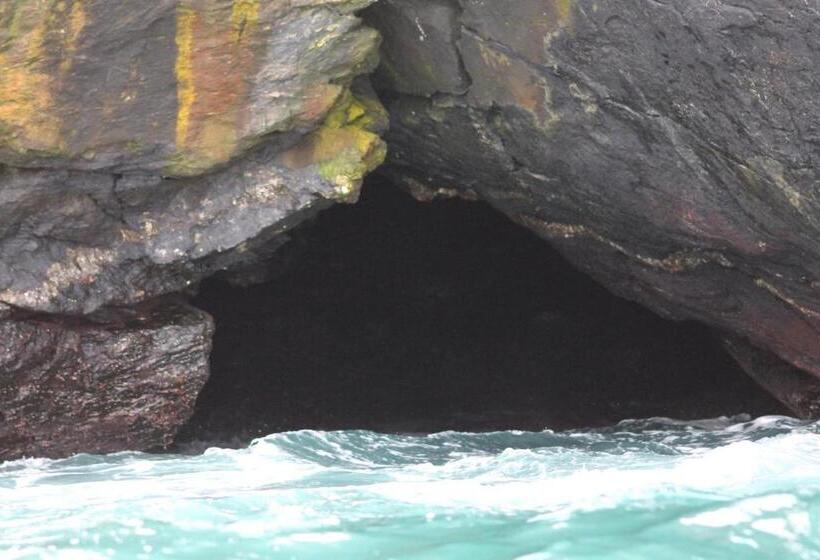 ペンション Cabaña Albergo Punta De Choros