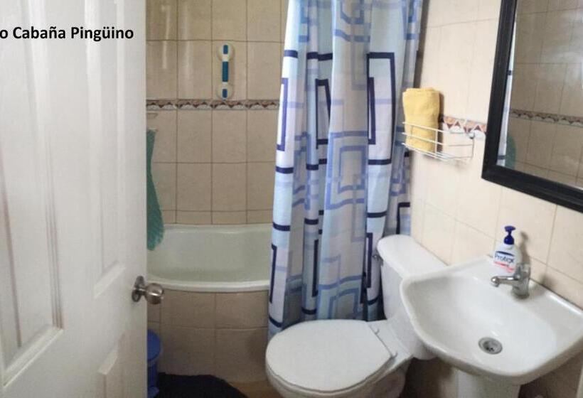 ペンション Cabaña Albergo Punta De Choros