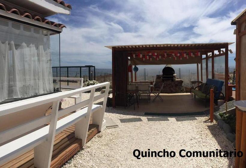 ペンション Cabaña Albergo Punta De Choros