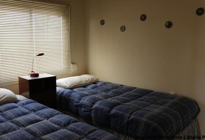 ペンション Cabaña Albergo Punta De Choros