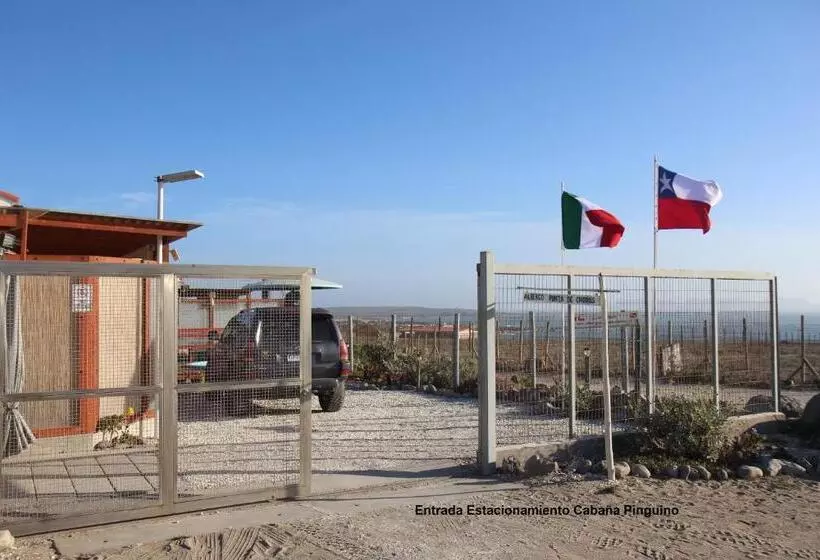 Majatalo Cabaña Albergo Punta De Choros