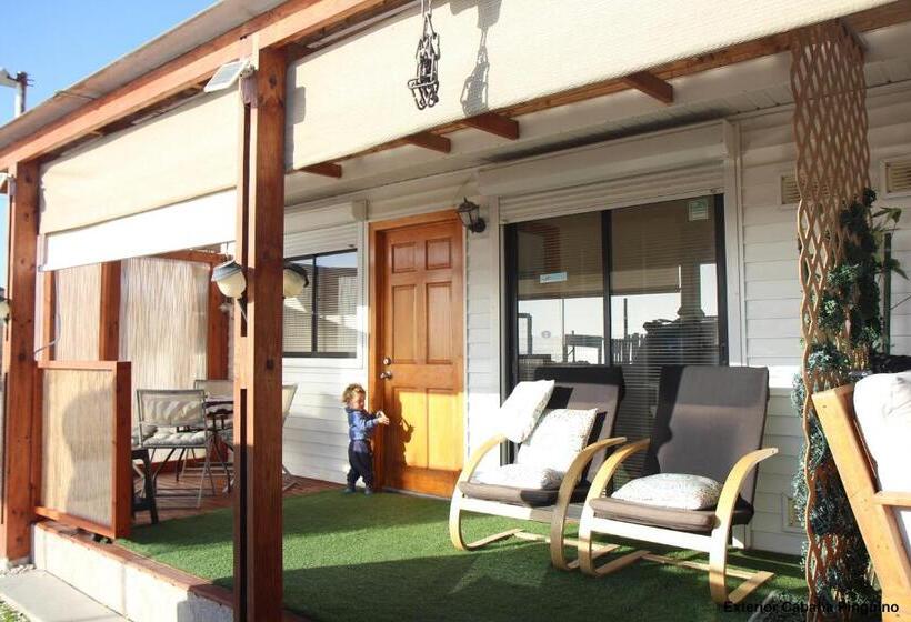 ペンション Cabaña Albergo Punta De Choros