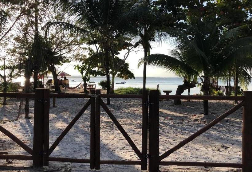 Pension Sina Residencial