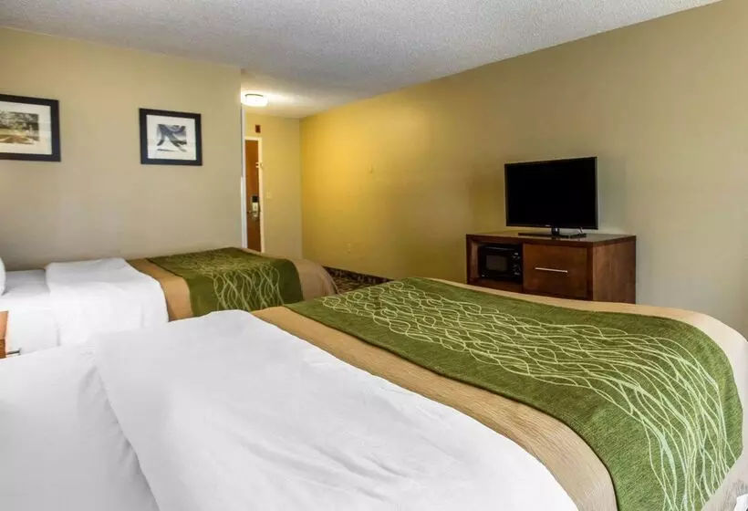 酒店 Comfort Inn & Suites Walterboro I95