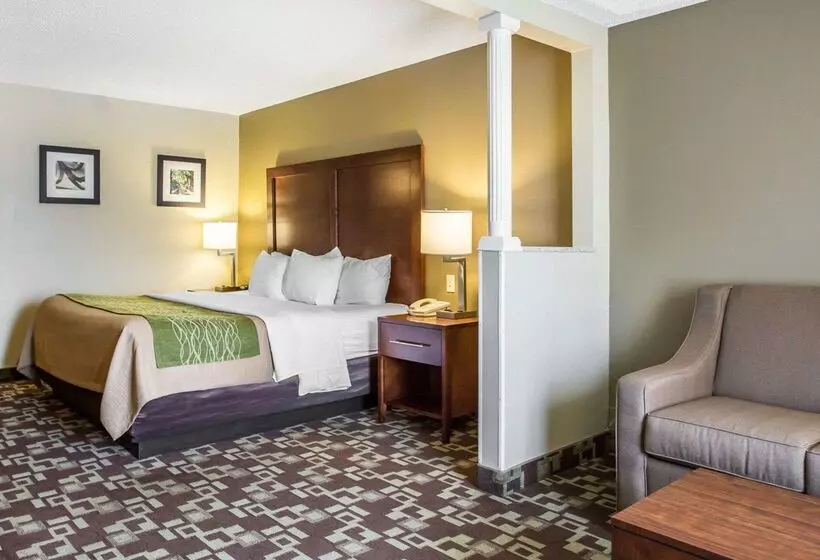 酒店 Comfort Inn & Suites Walterboro I95