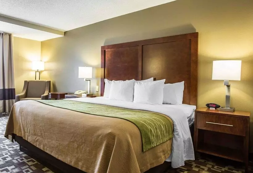 酒店 Comfort Inn & Suites Walterboro I95