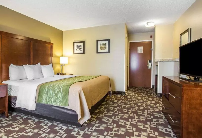 酒店 Comfort Inn & Suites Walterboro I95