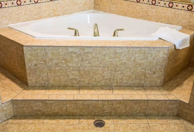 酒店 Comfort Inn & Suites Walterboro I95